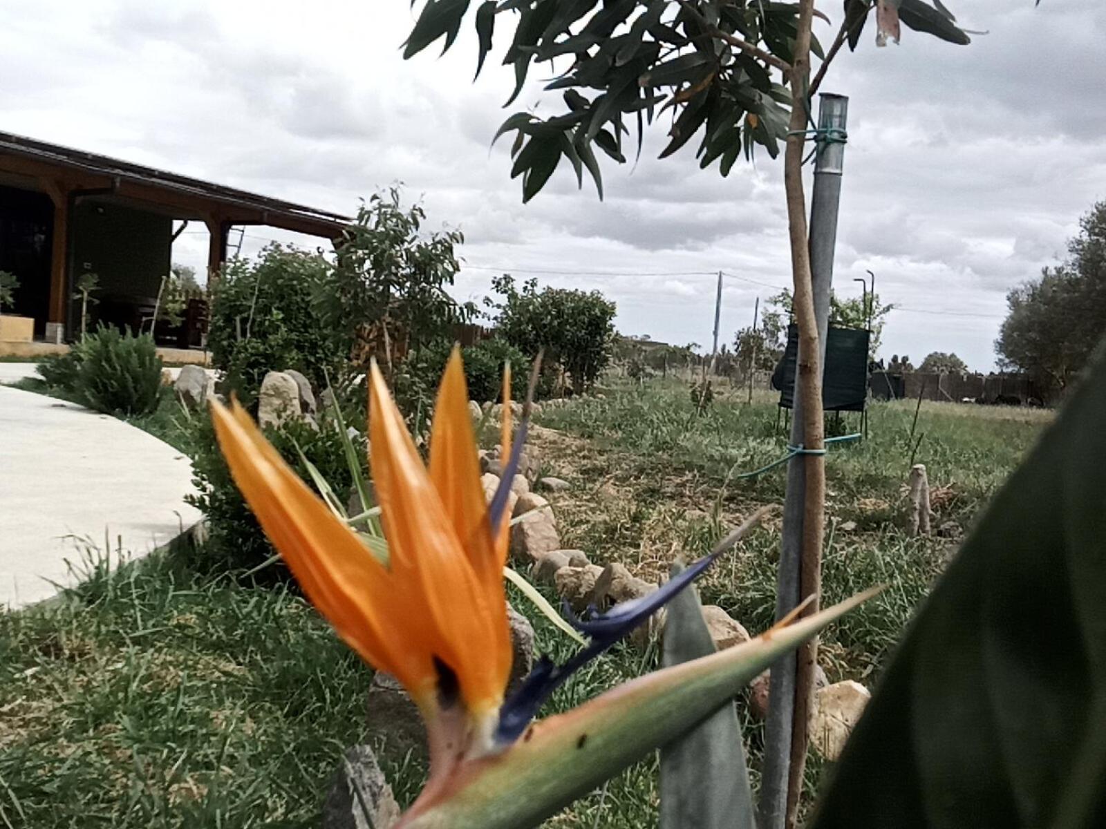 Podere Kiri Dome Experience Decimomannu Buitenkant foto
